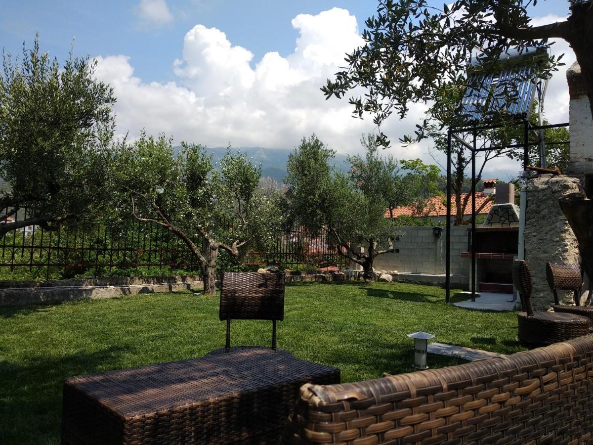 Villa Agnanti Apts&Suites Agio Pnevma Extérieur photo